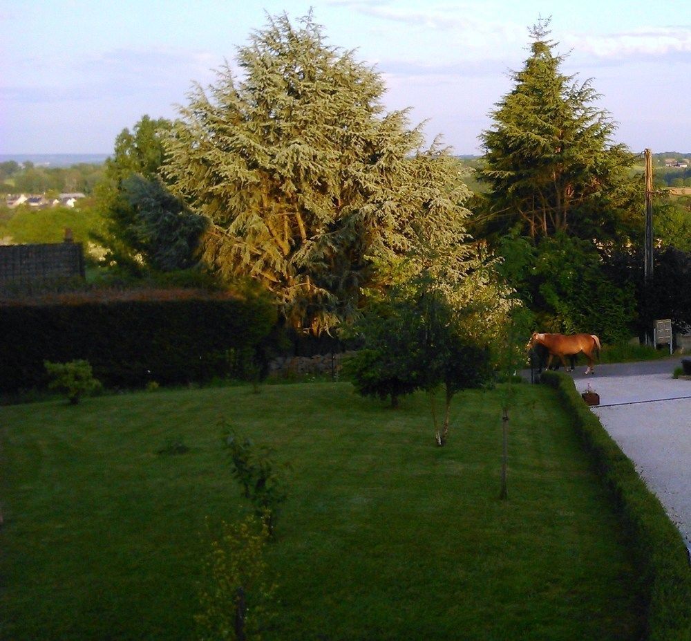 Gite Et Chambres D'Hotes Gandelain Bagian luar foto